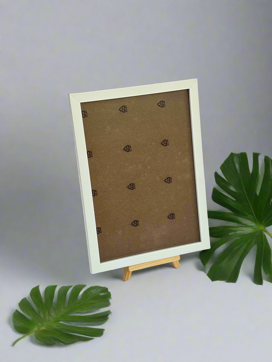 Acrylic Frames