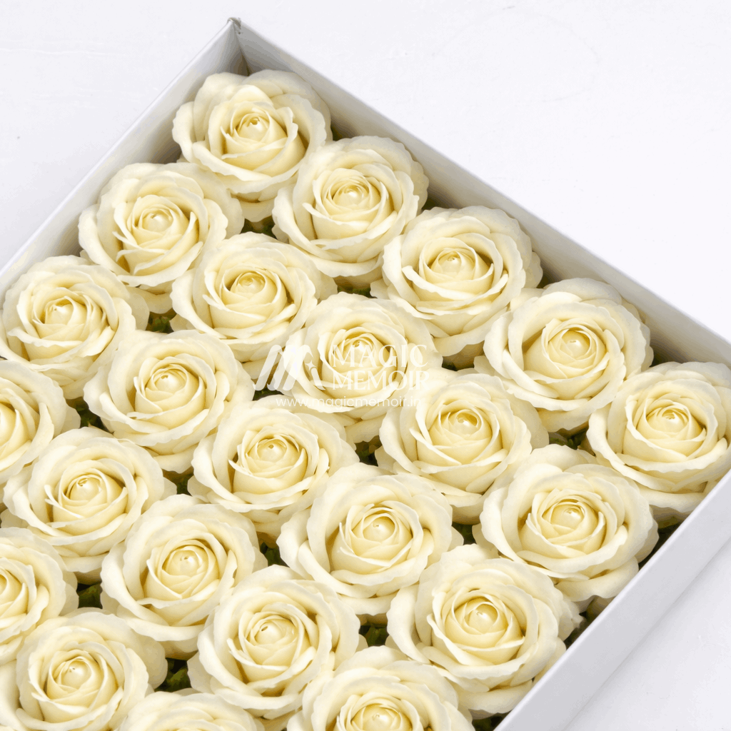 Scented Rose - Off White - Magic Memoir