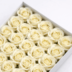 Scented Rose - Off White