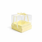 Transparent Top Box 8x8"