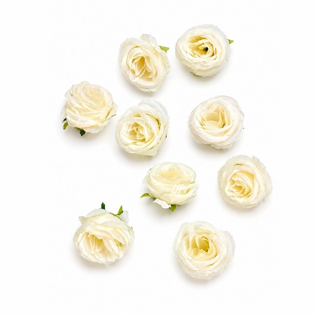 Paris Rose - Single Flower