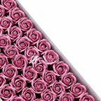 Scented Rose - Dusty Pink - Magic Memoir