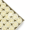 Scented Rose - Off White