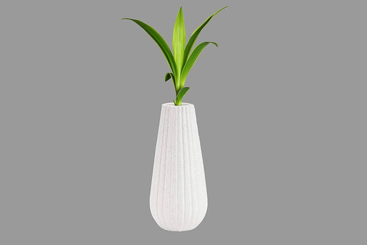 Omega Pot – 8" Decorative Ceramic Planter