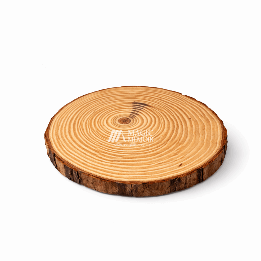 Wooden Slice - Round
