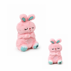 Breathing Rabbit