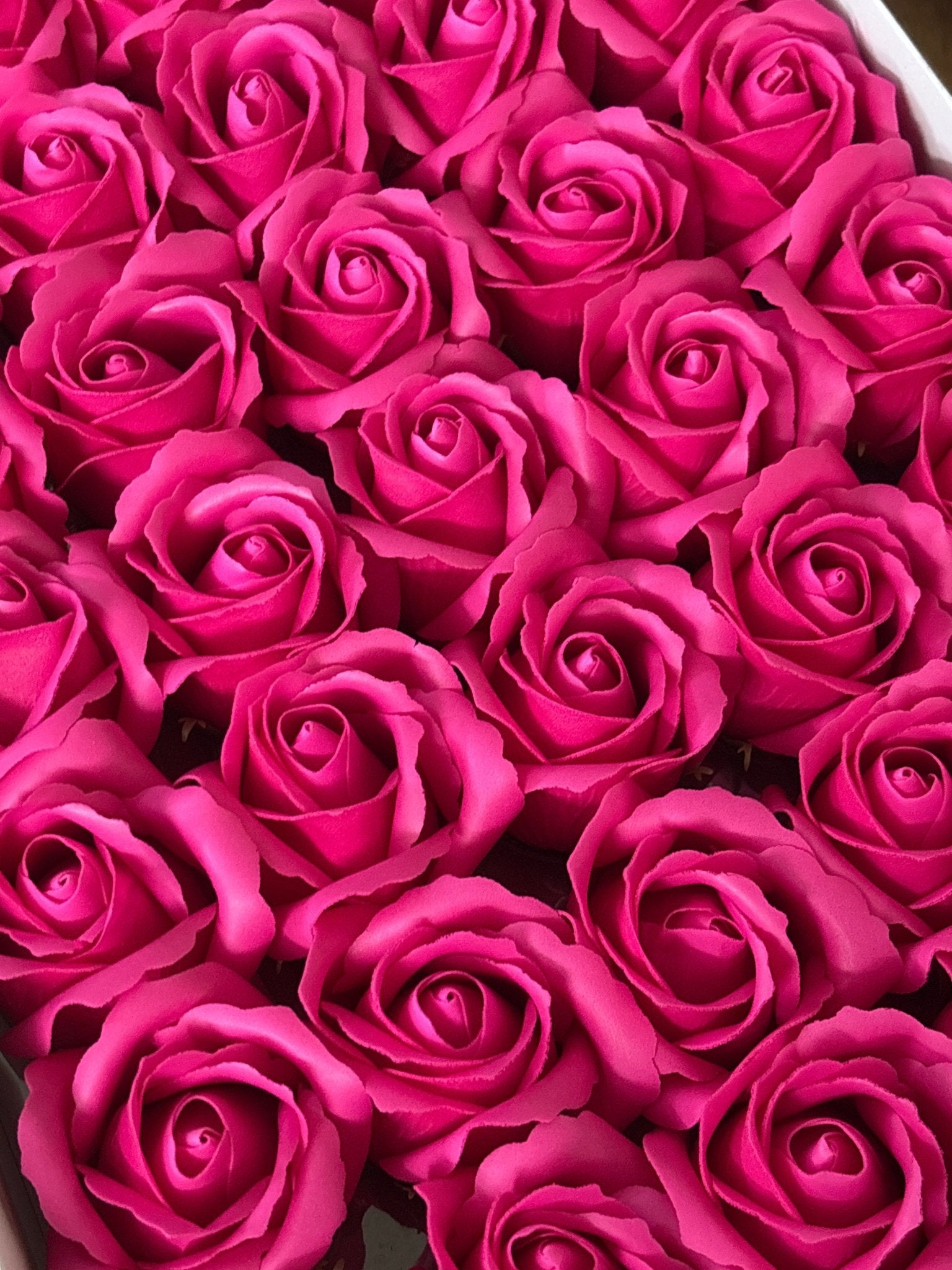 Scented Rose - Dark Pink - Magic Memoir